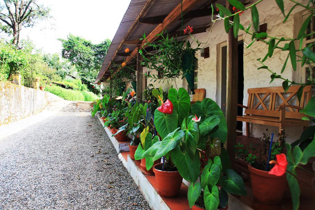 Thekkady Kalarickal Heritage Bungalow Vandanmedu 外观 照片