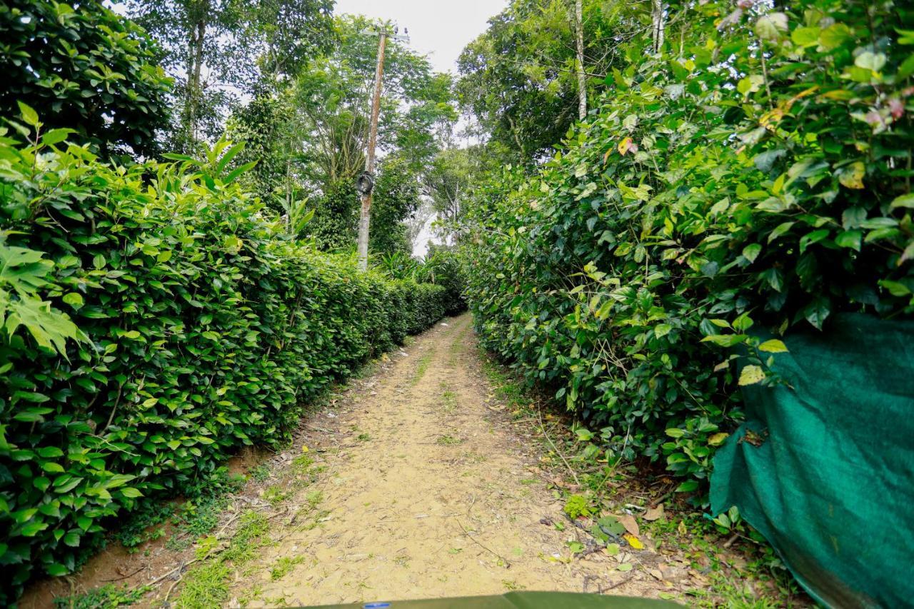 Thekkady Kalarickal Heritage Bungalow Vandanmedu 外观 照片