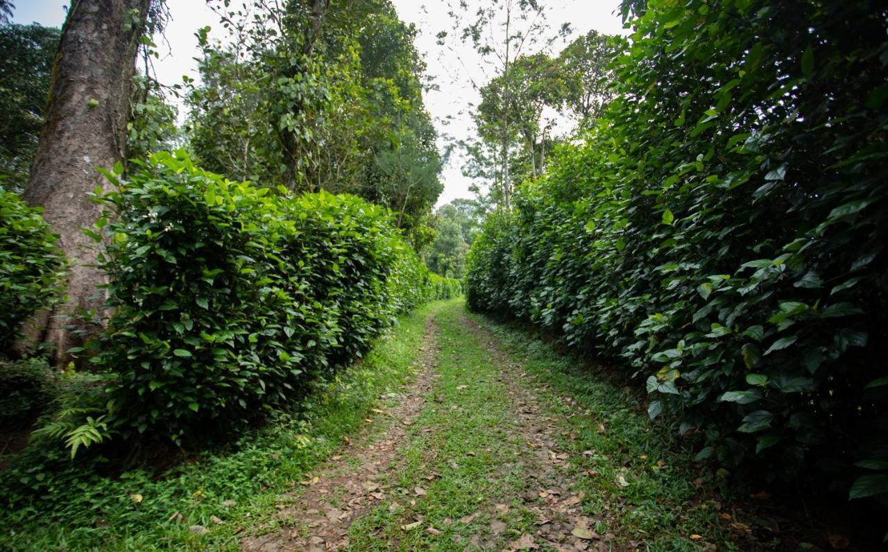 Thekkady Kalarickal Heritage Bungalow Vandanmedu 外观 照片